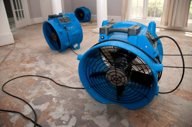 Best Fire Damage Restoration  in Camden, SC