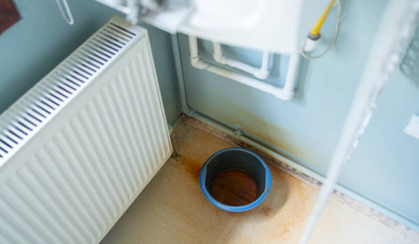Best Flood restoration services  in Camden, SC